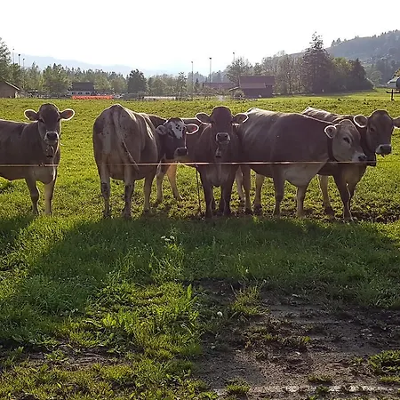 Alojamento de Turismo Rural Heulandhof *
